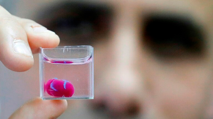 våben Gamle tider boom Forskere 3D printer verdens første hjerte med patientens egne celler -  Organdonation - ja tak!
